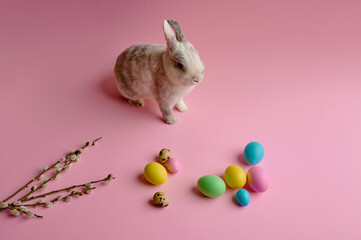 Colorful easter eggs and rabbit on pink background