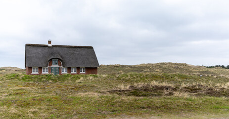 Obraz premium traditional Danish house with thatched reed roof in a coastal sand dune landscape