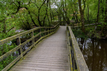 Obraz premium wooden boardwalk leading over the canals and through the forest in the city park of Ribe