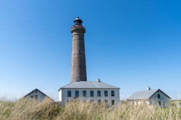 Fototapeta na wymiar view of the lighthouse of Skagen and sand dunes with grasses in the foreground