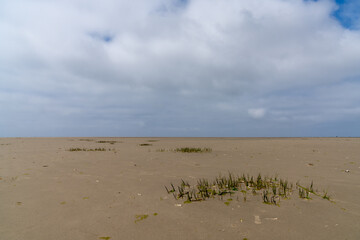 Fototapeta na wymiar landscape view of Wadden Sea beach at low tide