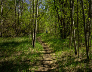 Woman in a light blue coat disappears into the distance on a winding walking trail through a lush forest.
