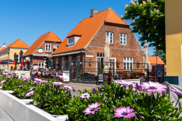 selective focus of pretty flowers and the many restaurants and buildings on the main street of Skagen - obrazy, fototapety, plakaty