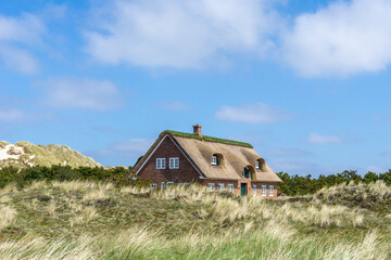 traditional Danish house with thatched reed roof in a coastal sand dune landscape