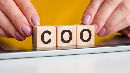 word coo made with wood building blocks, stock image