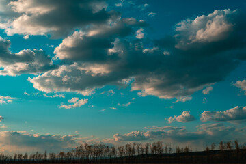 Obraz premium Beautiful sky with clouds and trees.