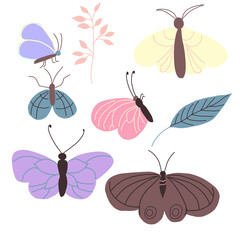 hand drawn set of butterflies and moths on white background
