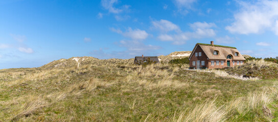 traditional Danish houses with thatched reed roof in a coastal sand dune landscape