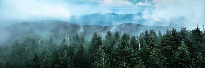 Panoramic View Of  Mountain Ridges With Fog And Pine Trees At Dusk