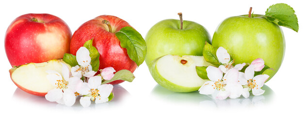 Apples fruits red green apple fruit collection with leaves and blossoms in a row isolated on a white background