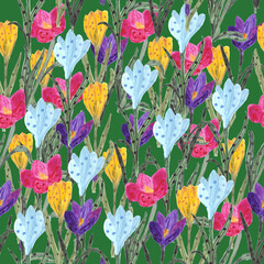 Glade of multicolored stylized spring crocuses on a seamless pattern