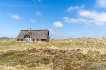traditional Danish house with thatched reed roof in a coastal sand dune landscape - obrazy, fototapety, plakaty