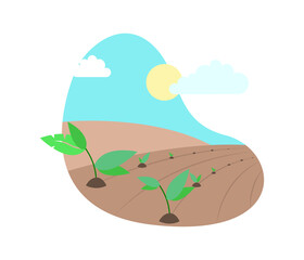 Agriculture icons with sprout, plant, tree growing. Flat style vector illustration
