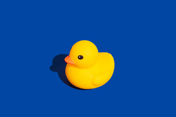 rubber duck in the water