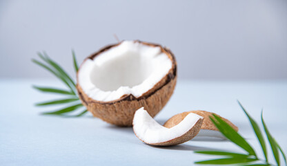 fresh coconut and slices with palm branch  on blue background. Healthy and vegan food. Macro and close up