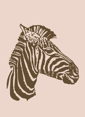 Fototapeta na wymiar Vector vintage portrait of zebra ,sepia background, striped horse