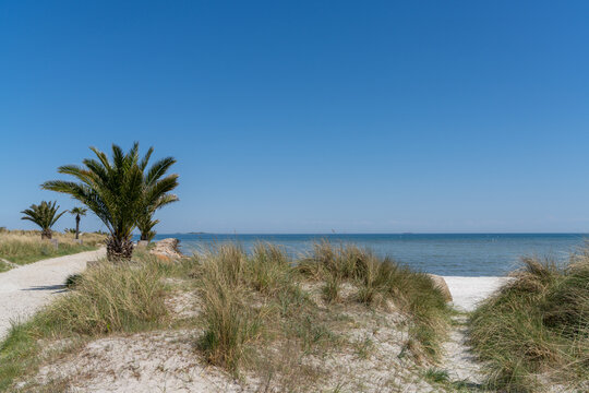 sandy path leading to the Palm Beach in Frederikshavn