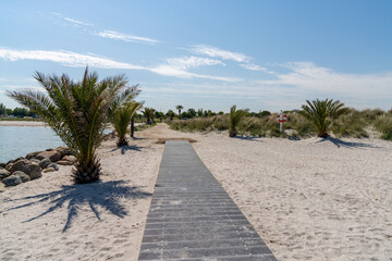 boardwalk and sandy path leading to the Palm Beach in Frederikshavn