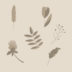 Monochrome vector plants on a beige background