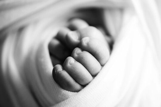 Baby feet. The tiny foot of a newborn in soft selective focus. Black and white image of the soles of the feet.