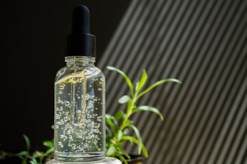 Rosemary leaves on an isolated background. Rosemary oil in a bottle.