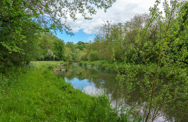 a scenic view along the world heritage site river avon in Wiltshire