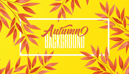 Fototapeta na wymiar Colorful leaves. Red Leaf on yellow background. Autumn advertising header or banner design. Abstract Vector Illustration.
