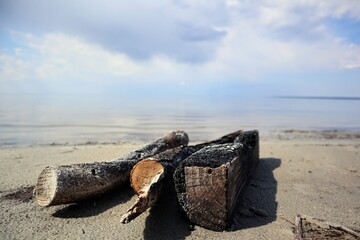 Close-up of burnt firewood lies on the sand on the shore of a calm lake