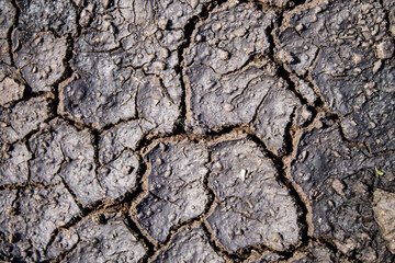 Cracks in the ground after rain. Dried earth with cracks