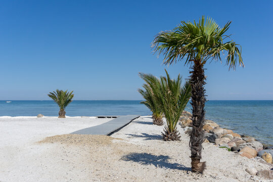 view of the beautiful white sand Palm Beach in Frederikshavn