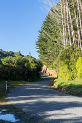 Otaki Country Road