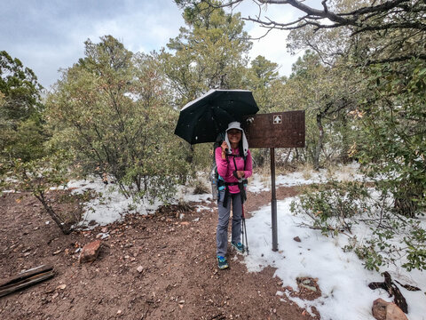 Hiker with her umbrella in the Arizona Trail, Arizona, USA