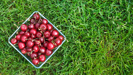 Sweet cherry in a bowl on a green grass. Top view, text space