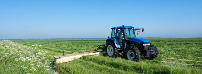 tractor in meadow with summer flowers mowing grass under blue sky in holland