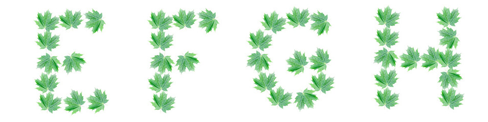 The letters E, F, G, H are made of green maple leaves
