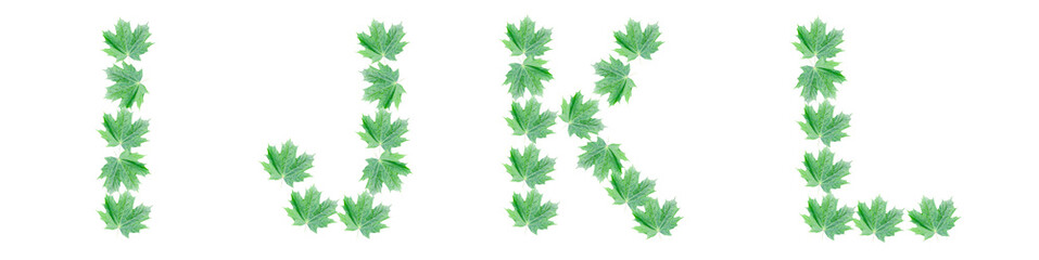 The letters I, J, K, L are made of green maple leaves
