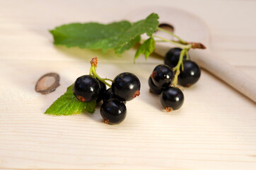 black currant berries with leaves close-up