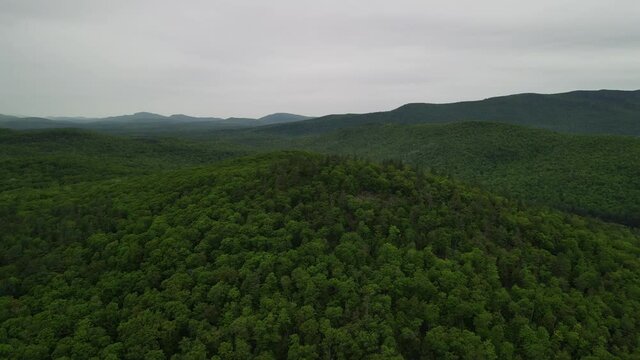 Drone Tree Mountain Orbit