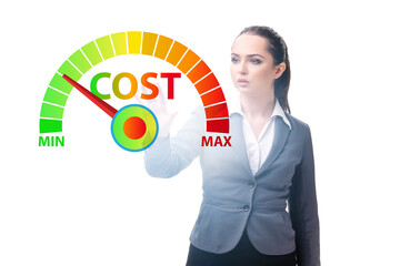 Businesswoman in cost management concept