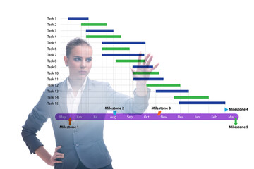 Businesswoman in project management concept