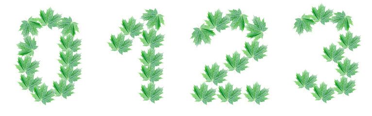 The numbers 0, 1, 2, 3 are made of green maple leaves