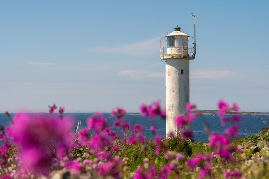 Subbe lighthouse with pink flowers in southern Varberg, Sweden. Selective focus.