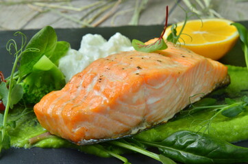 Grilled Salmon Fillet over Green Salad Plate