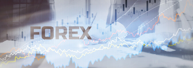 Fototapeta premium Forex Trading Traders. Financial Investment concept. Website Banner