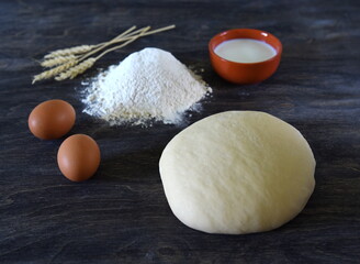 Homemade dough, bread and bun baking dough