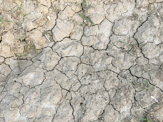 Cracked earth
