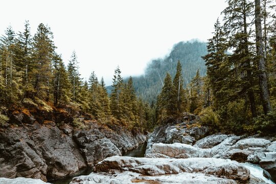 Paisagem De Inverno