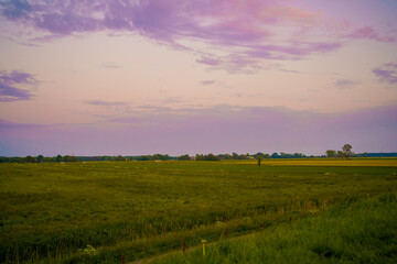 sunset over the field