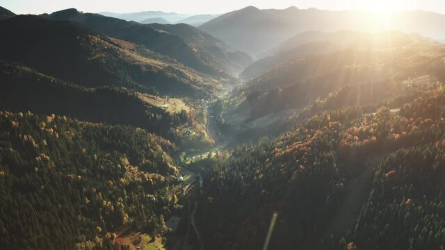 Dramatic mountain sunset aerial flight. Drone top view of autumn pine tree forest, yellow meadows, curvy river ang foggy mount range in the background. Travel to Carpathians, Ukraine, Europe