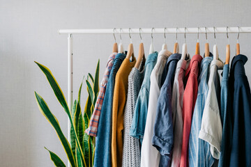 Closet, clothes hanging on hangers, stylish closet selection on a rail in the living room, light...